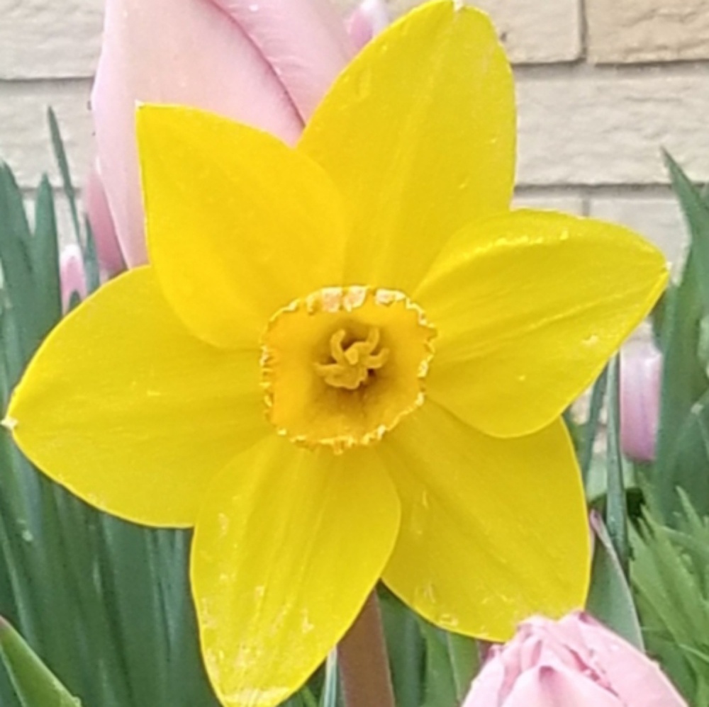 Meet your Posher, Carmen